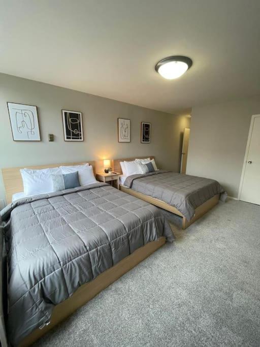 Charming Apartment At Crystal City With Amazing Amenities Arlington Eksteriør billede